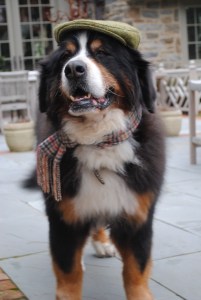 Benny is happy we're leaving later than planned. He hates good byes! 